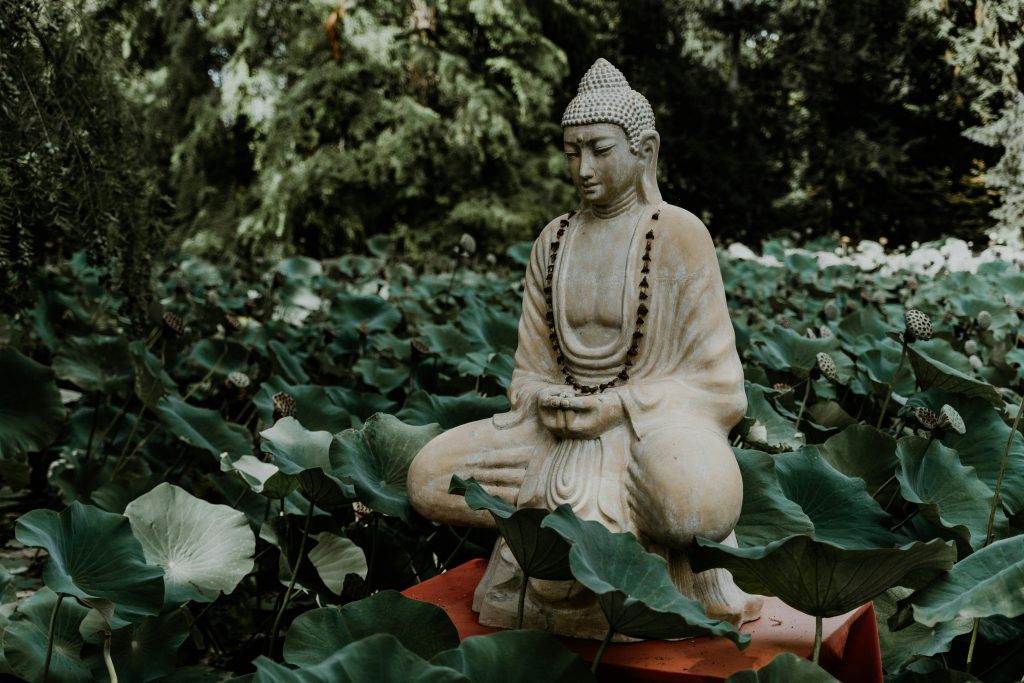 Khóa thiền Vipassana và 5 chữ "biết"