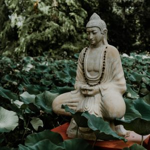 Khóa thiền Vipassana và 5 chữ "biết"