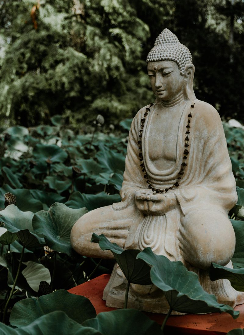Khóa thiền Vipassana và 5 chữ “biết”